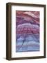 Colorful Bands of Layered Sediment in the Vermillion Cliffs NM, Utah-Chuck Haney-Framed Photographic Print