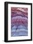 Colorful Bands of Layered Sediment in the Vermillion Cliffs NM, Utah-Chuck Haney-Framed Photographic Print