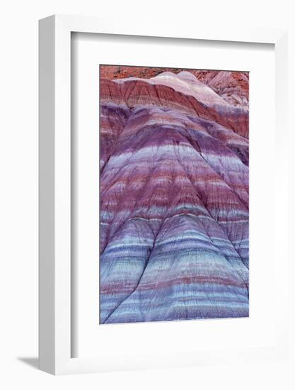 Colorful Bands of Layered Sediment in the Vermillion Cliffs NM, Utah-Chuck Haney-Framed Photographic Print