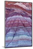 Colorful Bands of Layered Sediment in the Vermillion Cliffs NM, Utah-Chuck Haney-Mounted Photographic Print