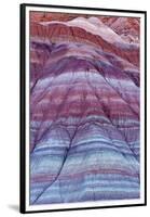 Colorful Bands of Layered Sediment in the Vermillion Cliffs NM, Utah-Chuck Haney-Framed Premium Photographic Print