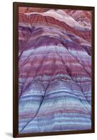 Colorful Bands of Layered Sediment in the Vermillion Cliffs NM, Utah-Chuck Haney-Framed Photographic Print