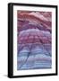 Colorful Bands of Layered Sediment in the Vermillion Cliffs NM, Utah-Chuck Haney-Framed Photographic Print