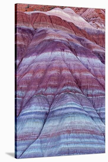 Colorful Bands of Layered Sediment in the Vermillion Cliffs NM, Utah-Chuck Haney-Stretched Canvas