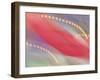 Colorful banners and lights-Merrill Images-Framed Photographic Print