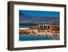 Colorful Beach Huts, Muizenberg Beach, Cape Town, South Africa, Africa-Laura Grier-Framed Photographic Print