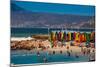 Colorful Beach Huts, Muizenberg Beach, Cape Town, South Africa, Africa-Laura Grier-Mounted Photographic Print