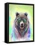 Colorful Bear Illustration. Bright Poster-Sovka-Framed Stretched Canvas