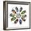 Colorful beetle circular design from the beetle family Buprestid-Darrell Gulin-Framed Premium Photographic Print