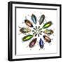 Colorful beetle circular design from the beetle family Buprestid-Darrell Gulin-Framed Premium Photographic Print