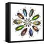 Colorful beetle circular design from the beetle family Buprestid-Darrell Gulin-Framed Stretched Canvas