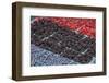 Colorful berries, USA-Jim Engelbrecht-Framed Photographic Print