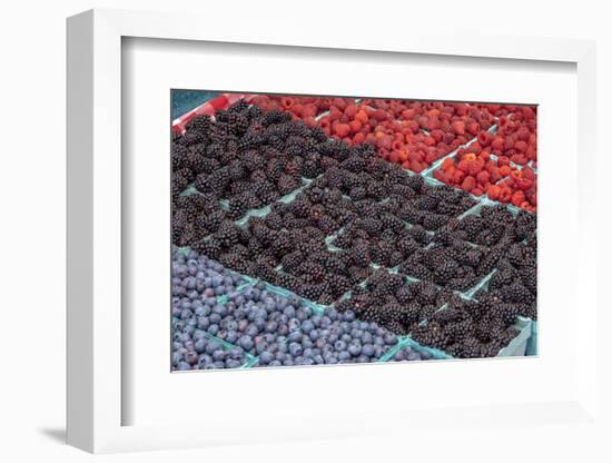 Colorful berries, USA-Jim Engelbrecht-Framed Photographic Print