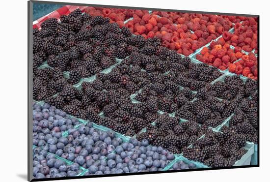 Colorful berries, USA-Jim Engelbrecht-Mounted Photographic Print