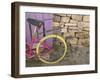 Colorful Bicycle on Salt Cay Island, Turks and Caicos, Caribbean-Walter Bibikow-Framed Photographic Print