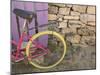 Colorful Bicycle on Salt Cay Island, Turks and Caicos, Caribbean-Walter Bibikow-Mounted Photographic Print