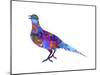 Colorful Bird Nov-Ata Alishahi-Mounted Giclee Print