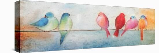 Colorful Birds On A Wire-Kimberly Allen-Stretched Canvas