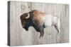 Colorful Bison Dark Brown on Wood-Avery Tillmon-Stretched Canvas