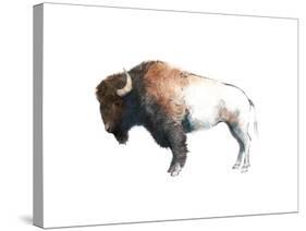 Colorful Bison Dark Brown-Avery Tillmon-Stretched Canvas