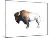 Colorful Bison Dark Brown-Avery Tillmon-Mounted Art Print