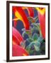 Colorful Blossoms and Leaves, North Carolina, USA-Brent Bergherm-Framed Photographic Print