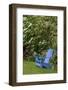 Colorful blue wooden chair in garden, Schreiner Iris Gardens, Salem, Oregon-Adam Jones-Framed Photographic Print