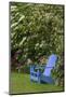 Colorful blue wooden chair in garden, Schreiner Iris Gardens, Salem, Oregon-Adam Jones-Mounted Photographic Print