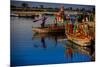 Colorful Boats at the Holi Festival, Vrindavan, Uttar Pradesh, India, Asia-Laura Grier-Mounted Premium Photographic Print