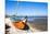 Colorful Boats on the Beach, Torreira, Aveiro, Beira, Portugal, Europe-G and M Therin-Weise-Mounted Photographic Print