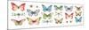 Colorful Breeze Bright Butterflies and Bugs-Lisa Audit-Mounted Art Print
