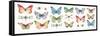 Colorful Breeze Bright Butterflies and Bugs-Lisa Audit-Framed Stretched Canvas