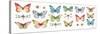 Colorful Breeze Bright Butterflies and Bugs-Lisa Audit-Stretched Canvas