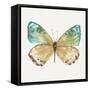 Colorful Breeze XIV-Lisa Audit-Framed Stretched Canvas
