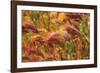 Colorful Brush-George Johnson-Framed Photographic Print