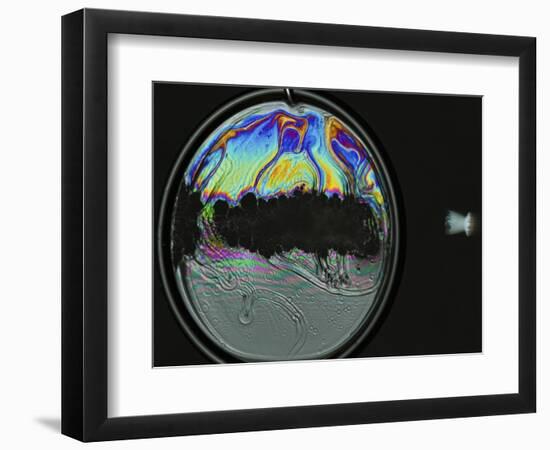 Colorful Bubble Gone-Alan Sailer-Framed Photographic Print