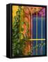 Colorful Building Detail, Barra De Navidad, Jalisco, Mexico-Walter Bibikow-Framed Stretched Canvas