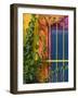 Colorful Building Detail, Barra De Navidad, Jalisco, Mexico-Walter Bibikow-Framed Photographic Print