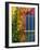 Colorful Building Detail, Barra De Navidad, Jalisco, Mexico-Walter Bibikow-Framed Photographic Print