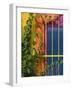 Colorful Building Detail, Barra De Navidad, Jalisco, Mexico-Walter Bibikow-Framed Photographic Print