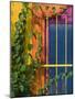 Colorful Building Detail, Barra De Navidad, Jalisco, Mexico-Walter Bibikow-Mounted Photographic Print