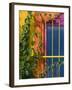 Colorful Building Detail, Barra De Navidad, Jalisco, Mexico-Walter Bibikow-Framed Photographic Print