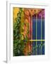 Colorful Building Detail, Barra De Navidad, Jalisco, Mexico-Walter Bibikow-Framed Photographic Print