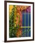 Colorful Building Detail, Barra De Navidad, Jalisco, Mexico-Walter Bibikow-Framed Photographic Print