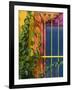 Colorful Building Detail, Barra De Navidad, Jalisco, Mexico-Walter Bibikow-Framed Photographic Print