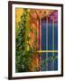 Colorful Building Detail, Barra De Navidad, Jalisco, Mexico-Walter Bibikow-Framed Photographic Print