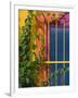 Colorful Building Detail, Barra De Navidad, Jalisco, Mexico-Walter Bibikow-Framed Photographic Print