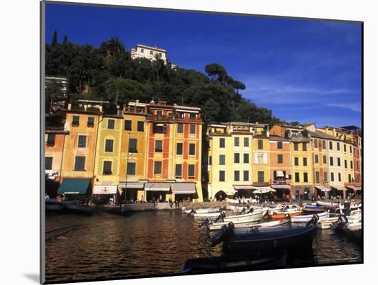 Colorful Buildings with Boats in the Harbor, Portofino, Italy-Bill Bachmann-Mounted Photographic Print