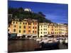 Colorful Buildings with Boats in the Harbor, Portofino, Italy-Bill Bachmann-Mounted Photographic Print