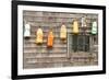 Colorful Buoys in Peggys Cove-null-Framed Art Print